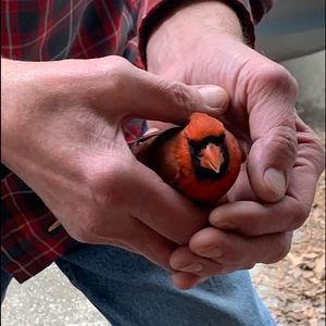 Meet your Posher, Kathy